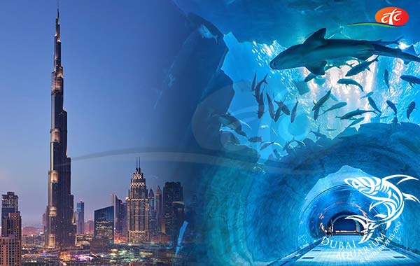 Burj Khalifa 124/125 Floor + Dubai Aquarium & Underwater Zoo