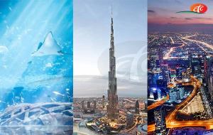 Dubai City Tour with Burj Khalifa 124/125 Floor and Dubai Aquarium & Underwater Zoo