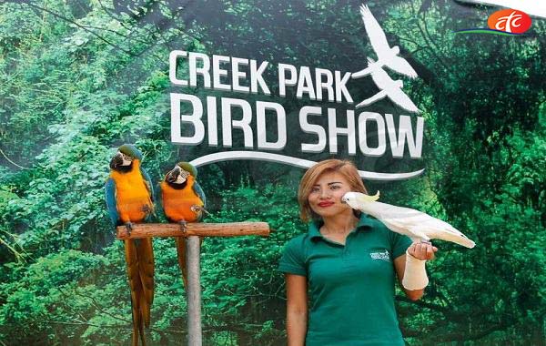 Exotic Bird Show - Dubai Creek Park 