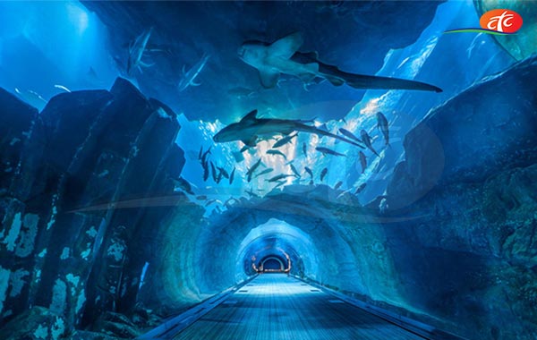 Dubai Aquarium And Underwater Zoo (DAUZ)
