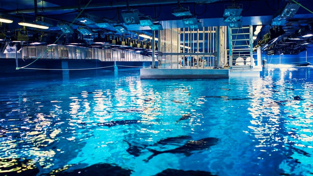 Dubai Aquarium & Underwater Zoo and Global Village
