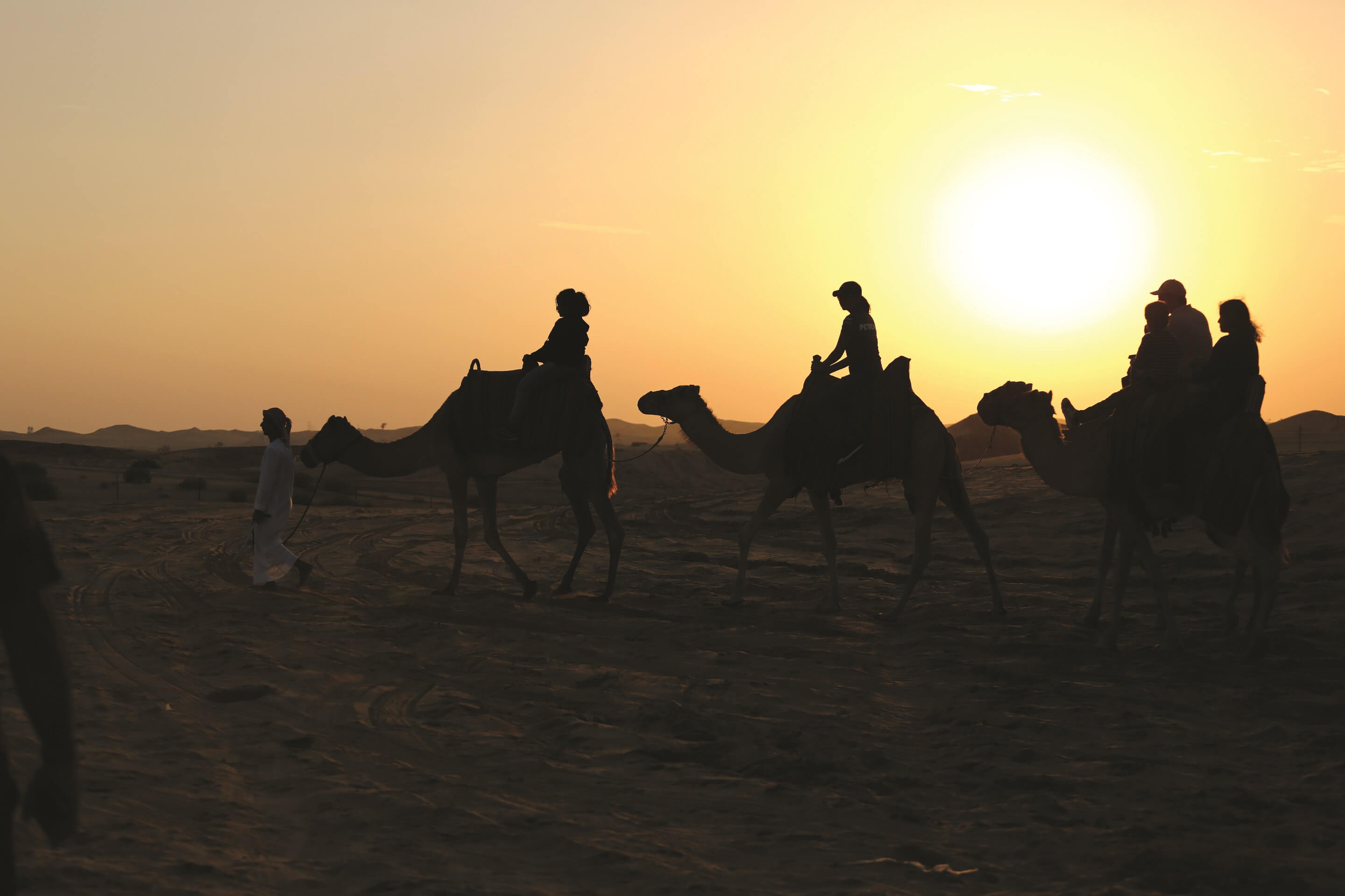 Arabian Desert Safari - From Abu Dhabi 