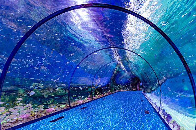 The National Aquarium - Abu Dhabi