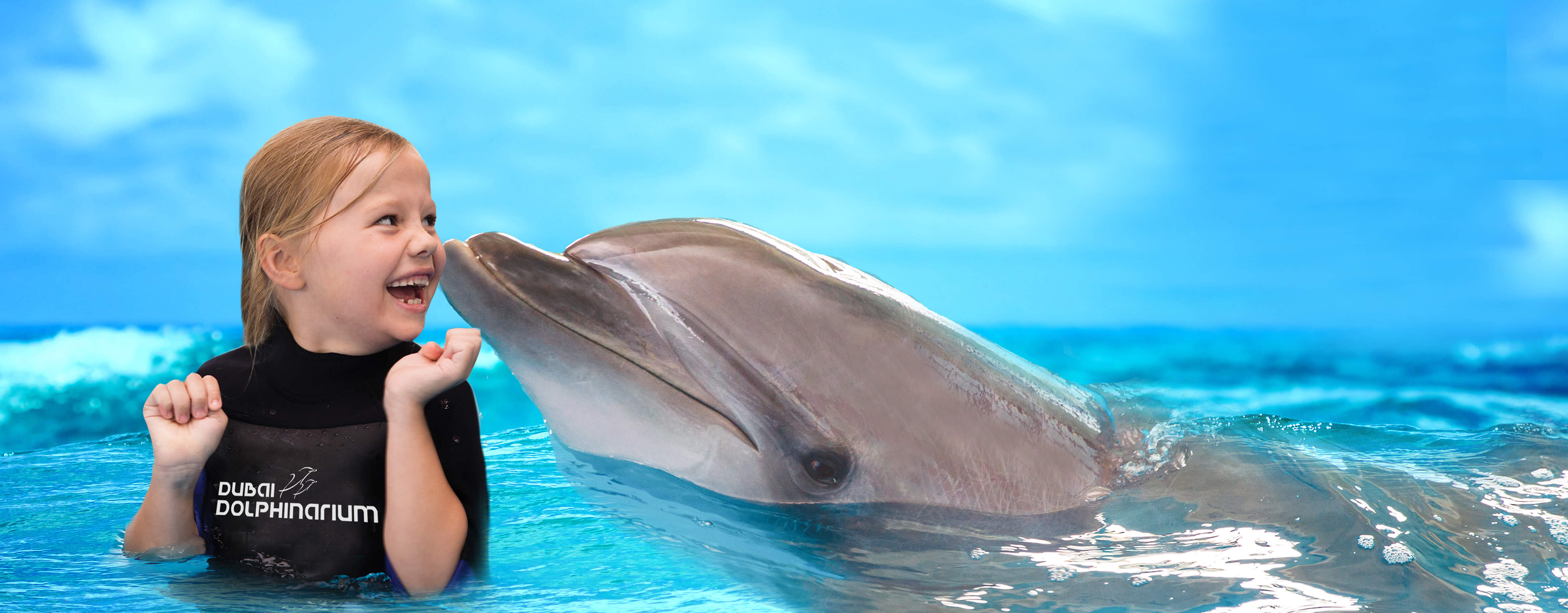 Dolphin and Seal Show (VIP) - Dubai Dolphinarium