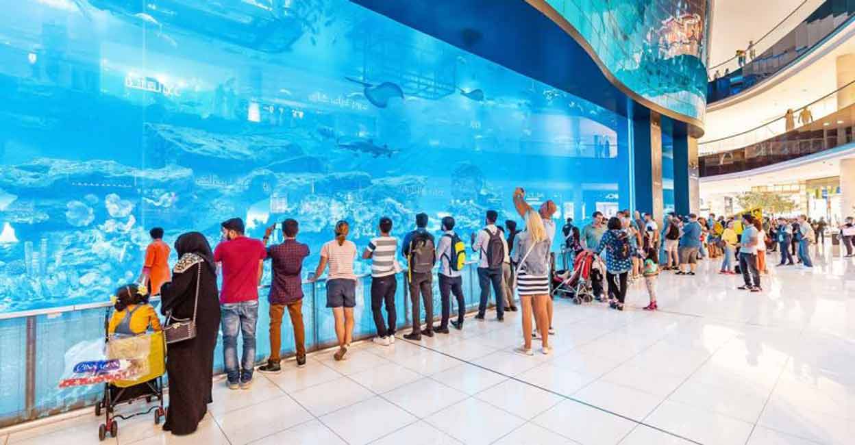 Dubai Aquarium | Aquarium Offers