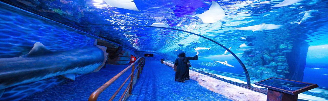 Laguna Water Park and Dubai Aquarium and Underwater Zoo