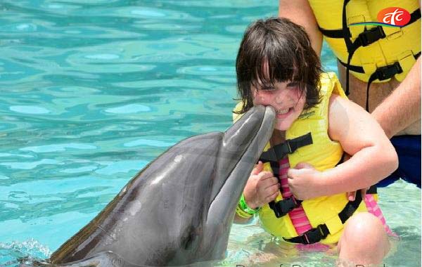 Dubai Dolphinarium VIP