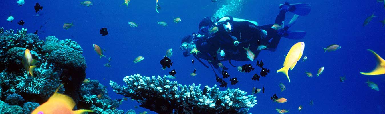 Scuba Diving -  Jumeirah